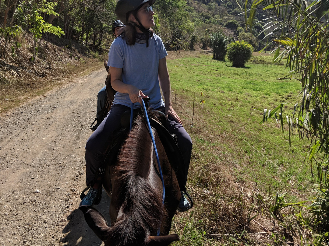 Discovery Horseback Tours景点图片