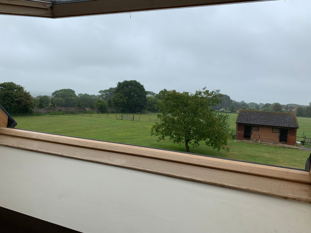 Abbotswood Orchard主图