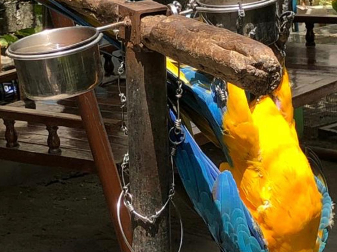 Noovilu Suites Guesthouse Maldives主图