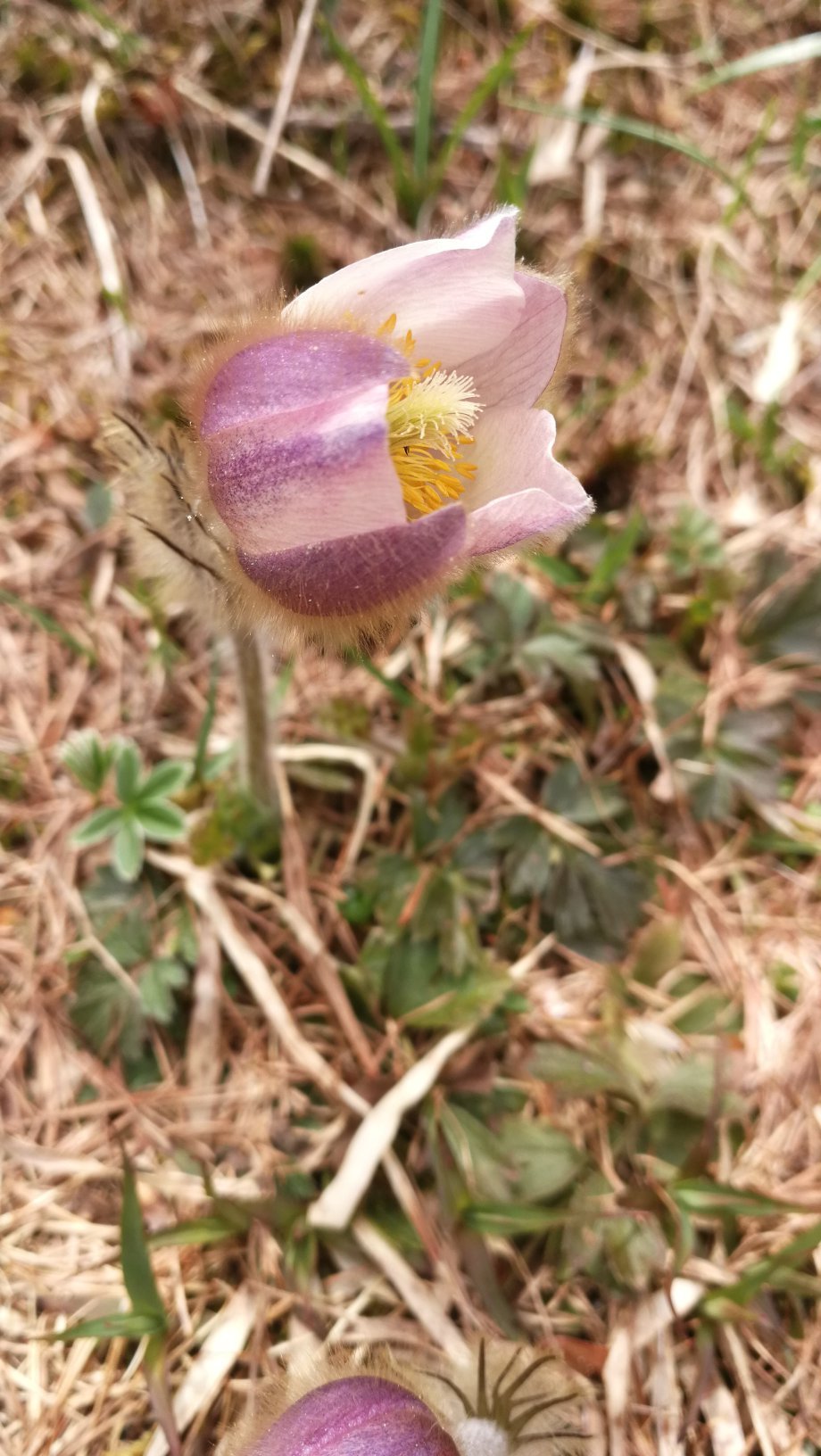 Ca' De Val-官方