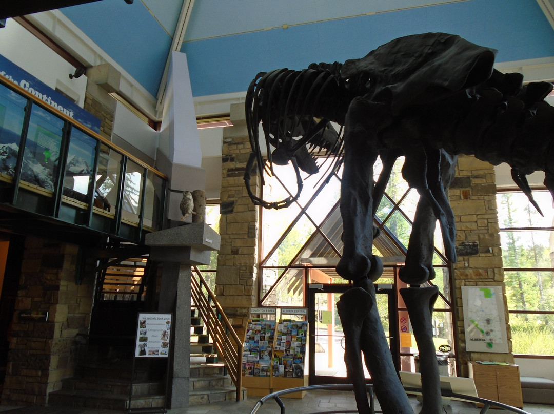 Travel Alberta West Glacier Visitor Information Centre景点图片