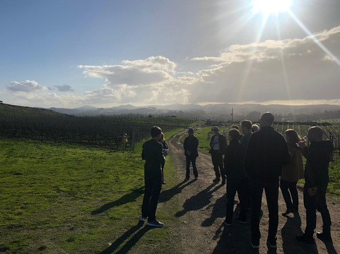 The Sonoma County Experience-圣罗莎必去景点