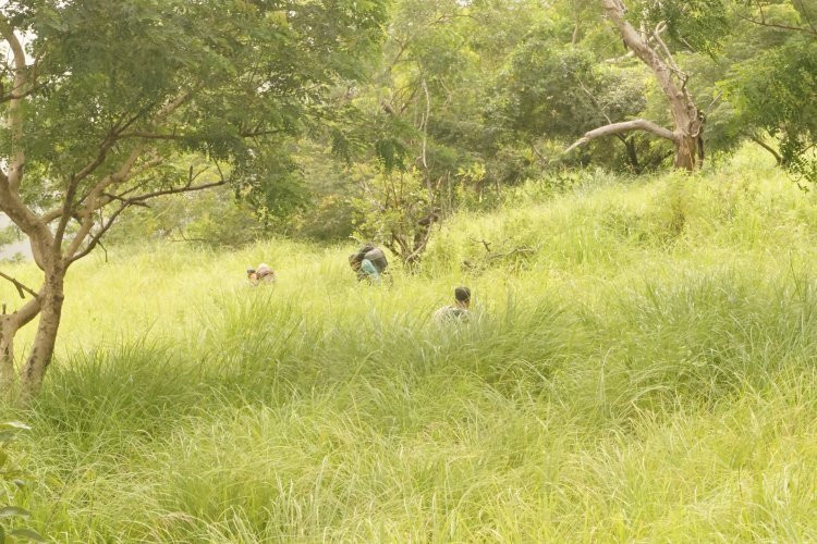 Sangiang Api-Bima必去景点