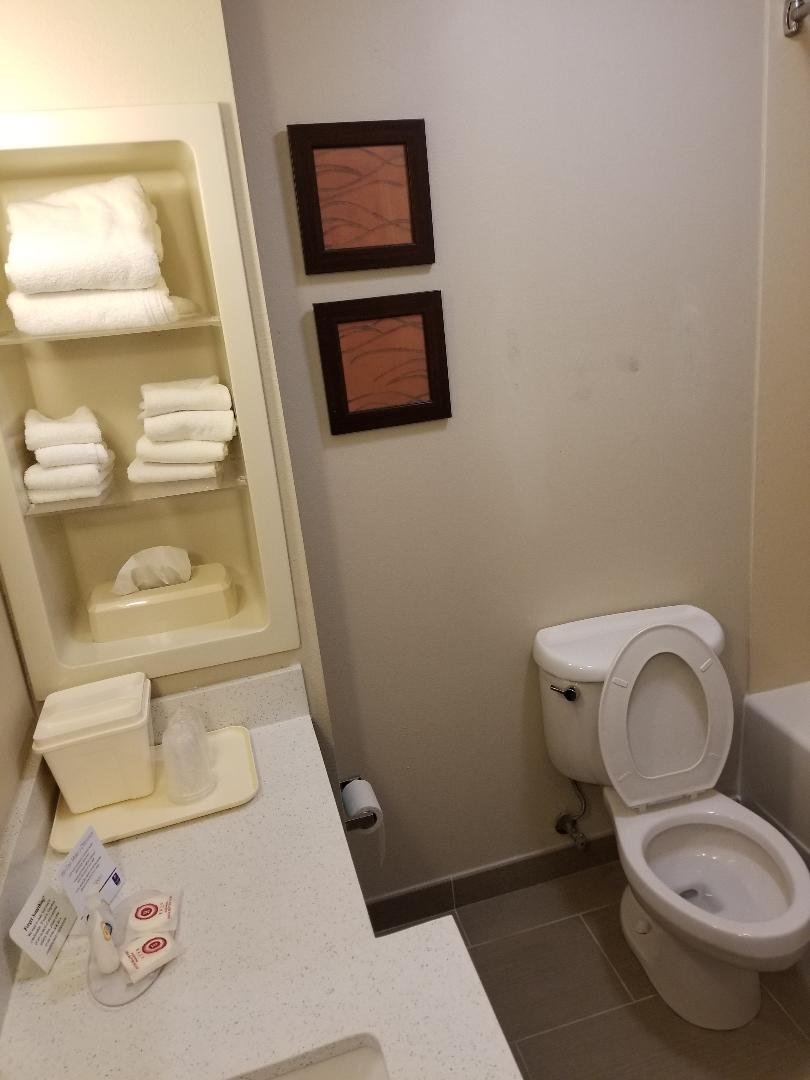 Comfort Inn & Suites Lookout Mountain-浴室