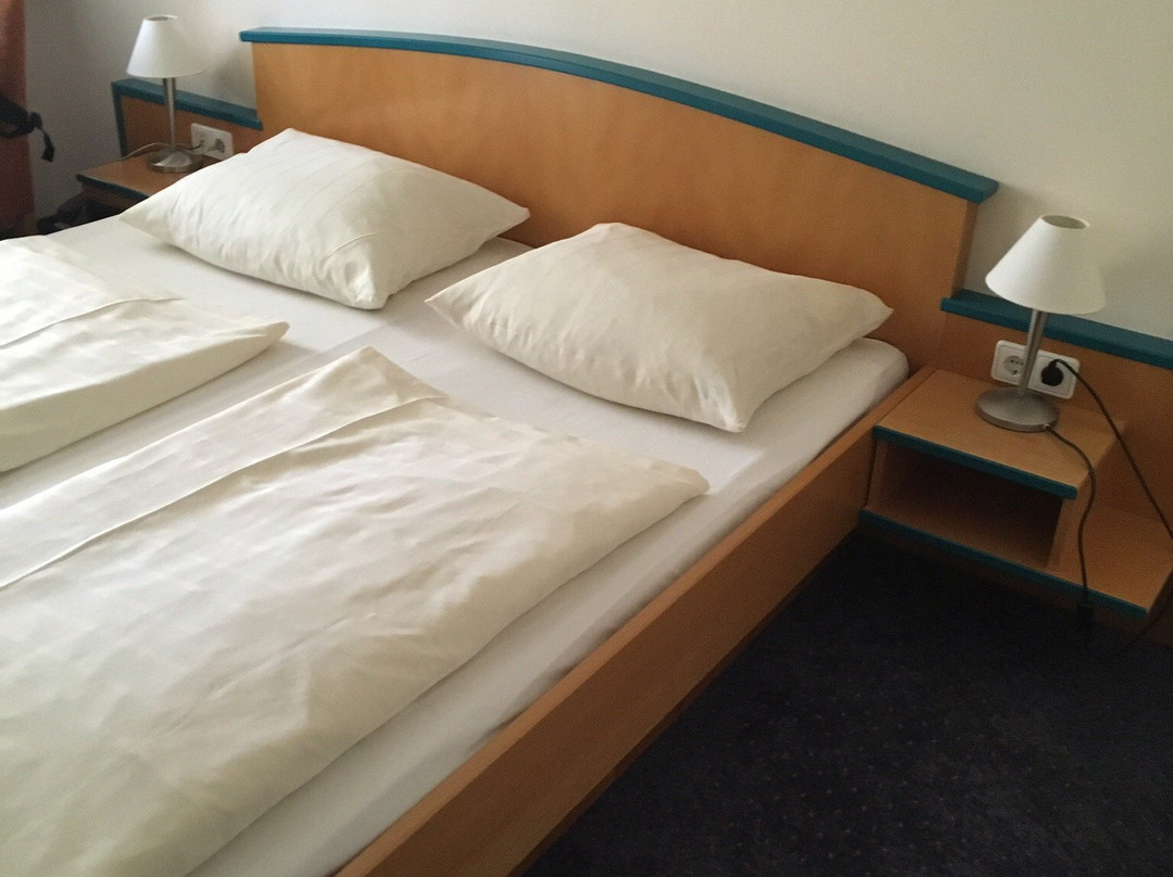 Hotel Herzog Heinrich主图