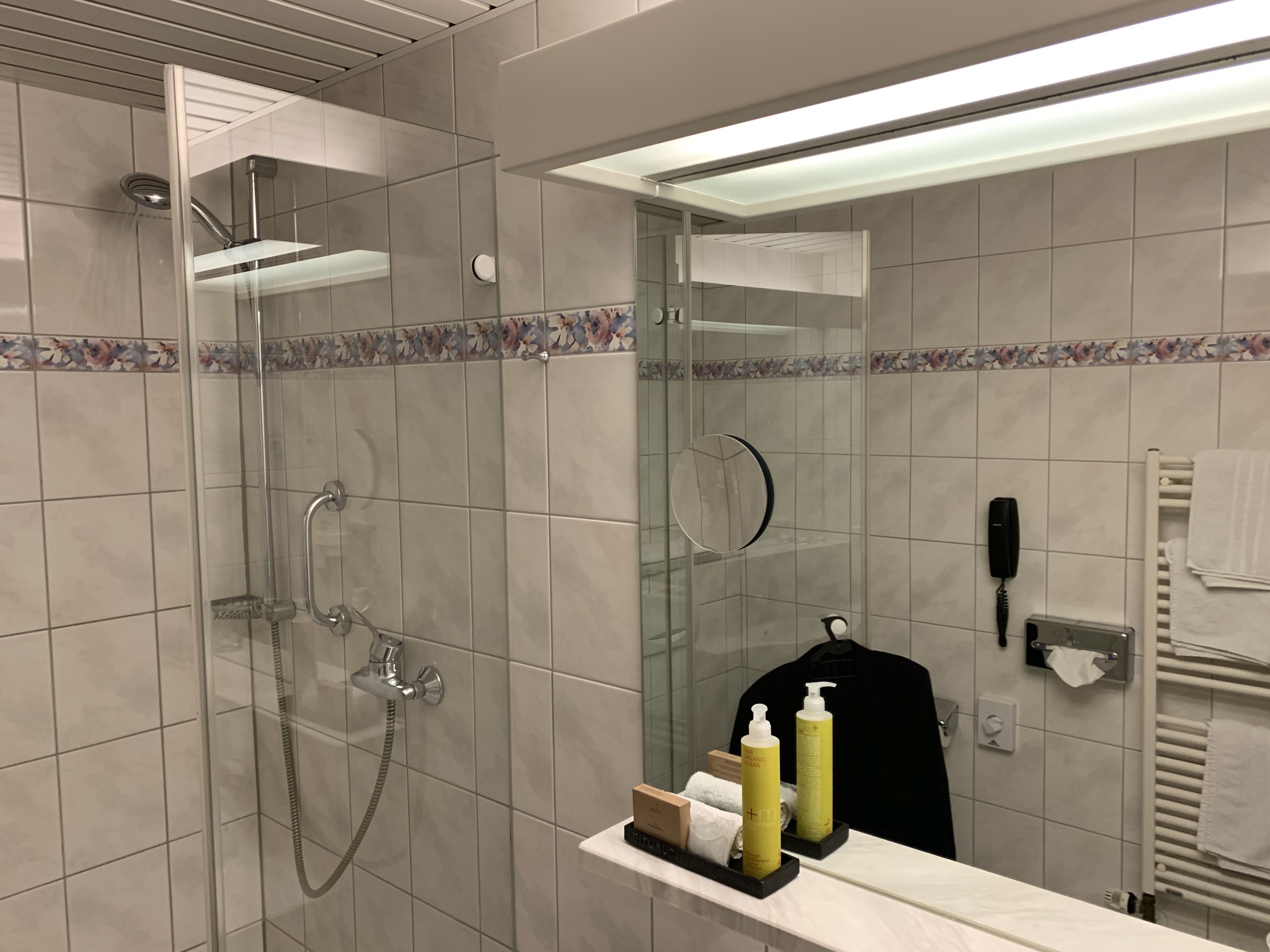 Ringhotel Niedersachsen-浴室