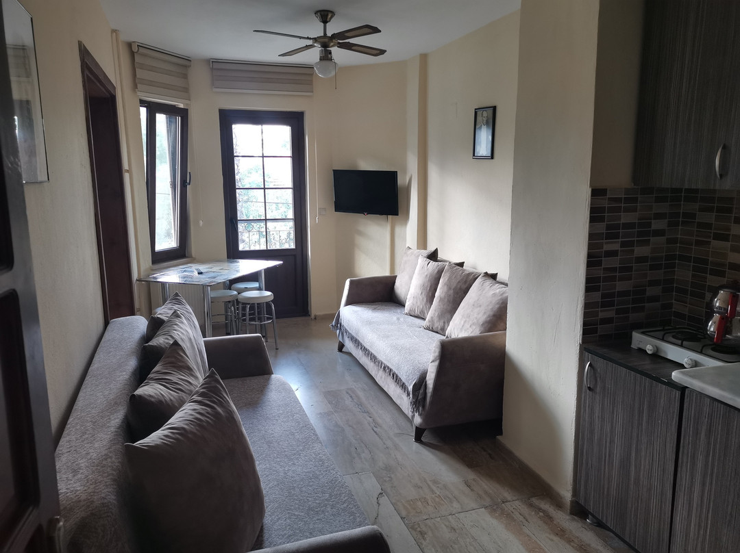 Ilkim Apart Otel主图