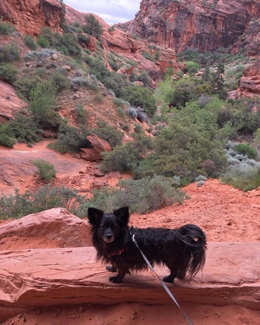 Red Reef Trail-Leeds必去景点