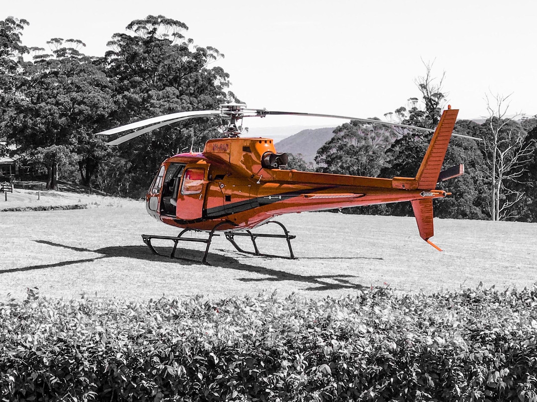 Elite Helicopters Pty Ltd-布里斯班必去景点