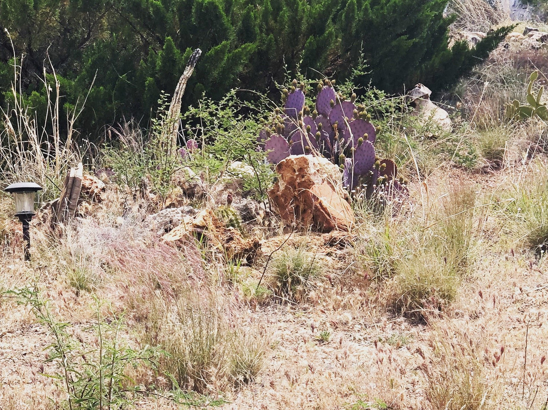 The Clarkdale Lodge主图