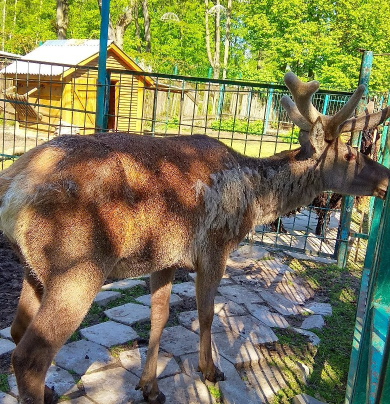 Lutsk Zoo-Lutsk必去景点