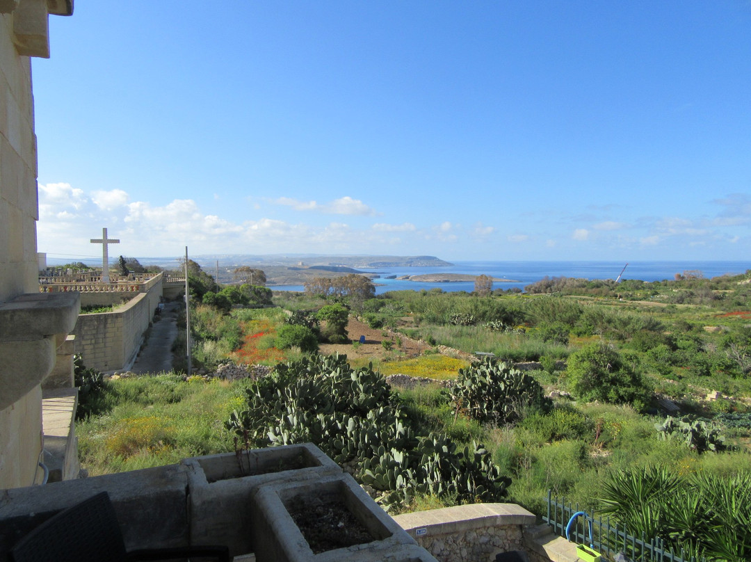 Il Pomo Bianco主图