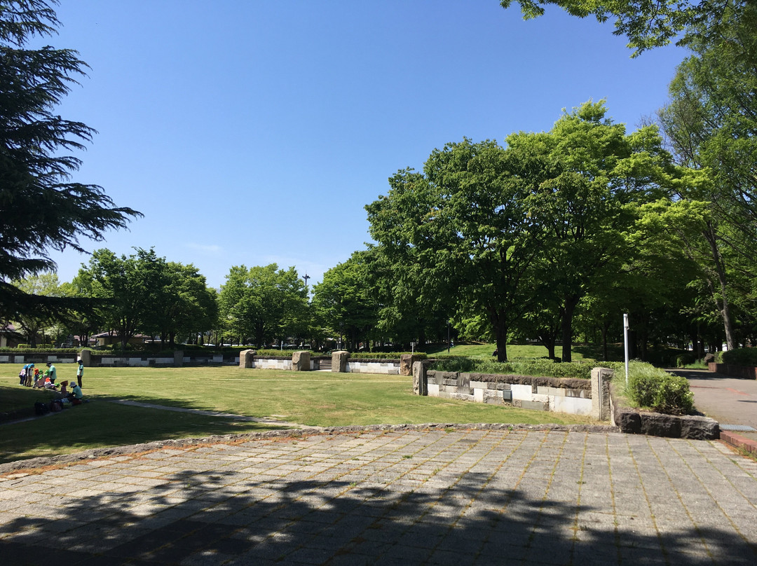 Wakasato park景点图片