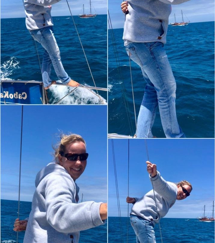 Whale Watching mit CaboKaiTours-萨尔雷必去景点