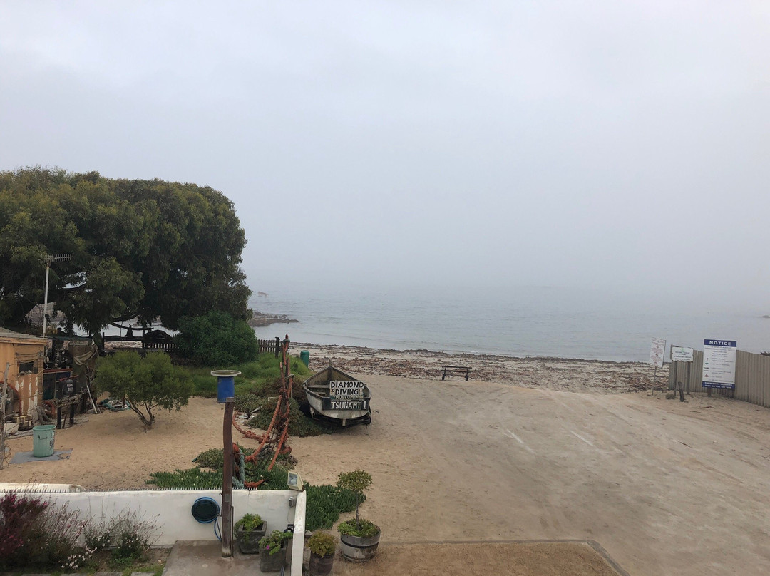 Voetbaai Chalets主图