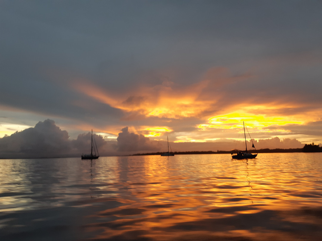 Bocas Water Excursions景点图片