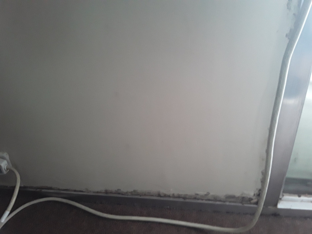 Allen Park Motor Lodge主图