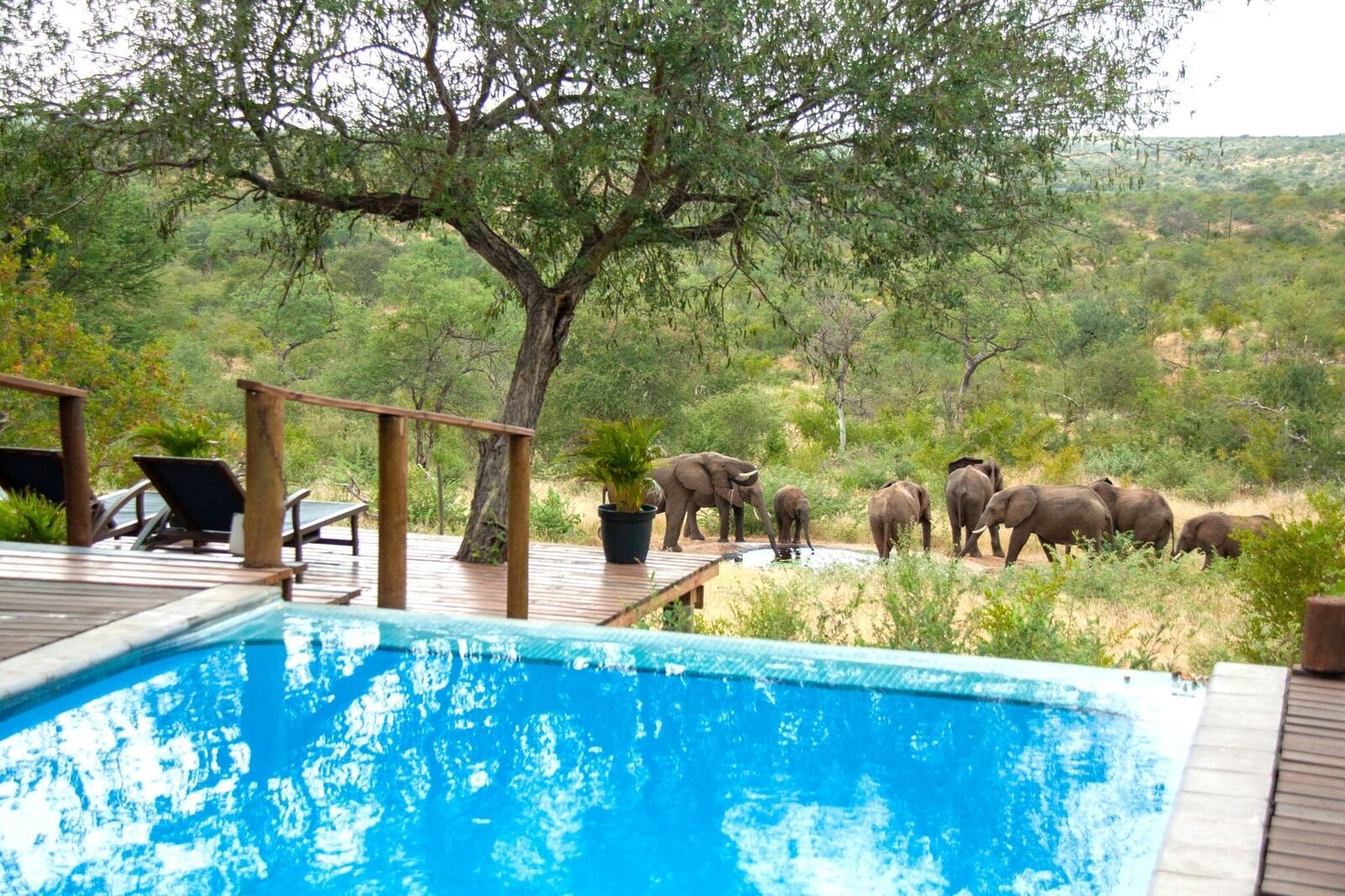 Casart Game Lodge-官方