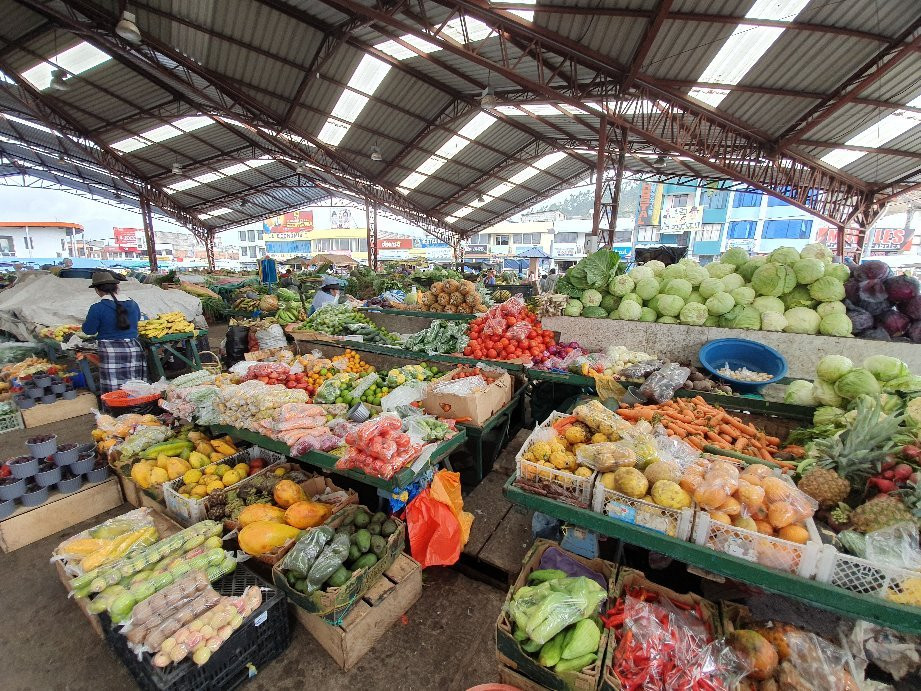 Zumbahua旅游攻略图片