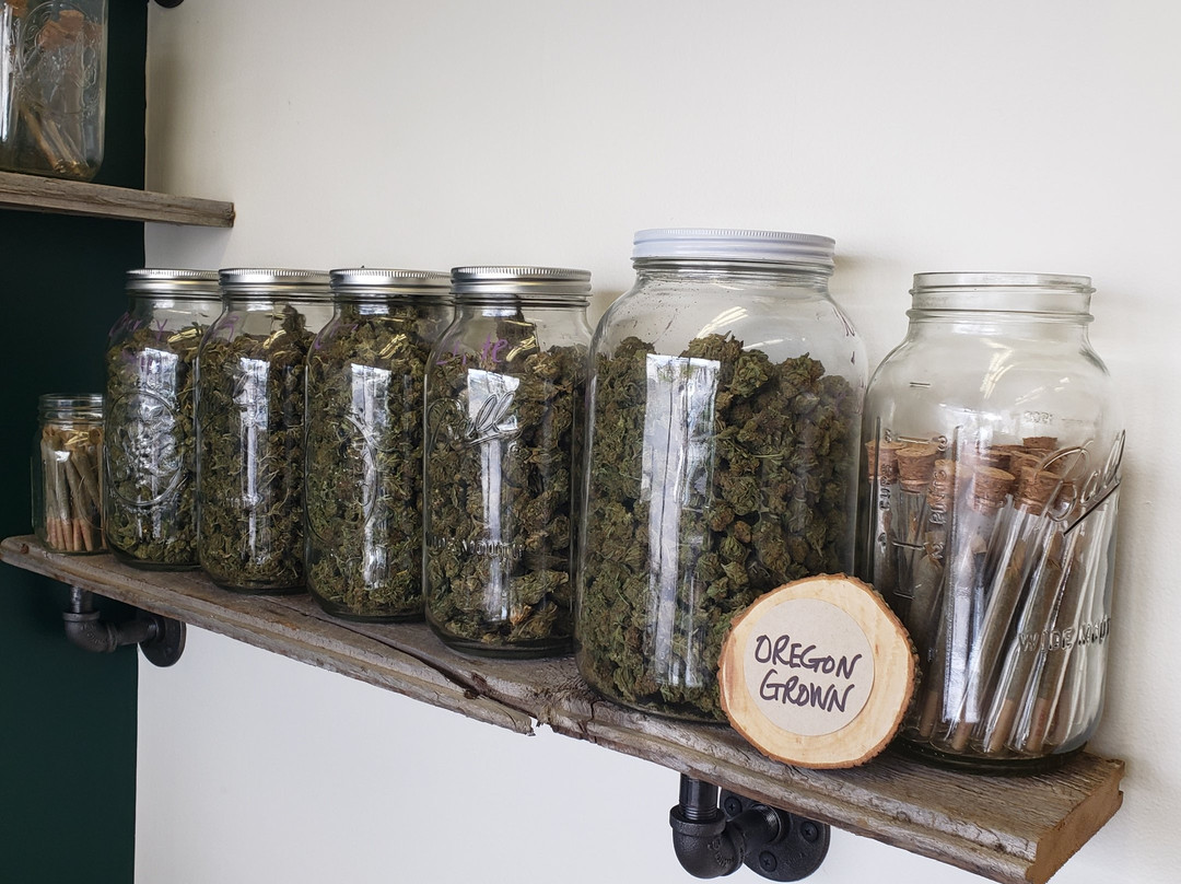 The Remedy-沃灵福德必去景点