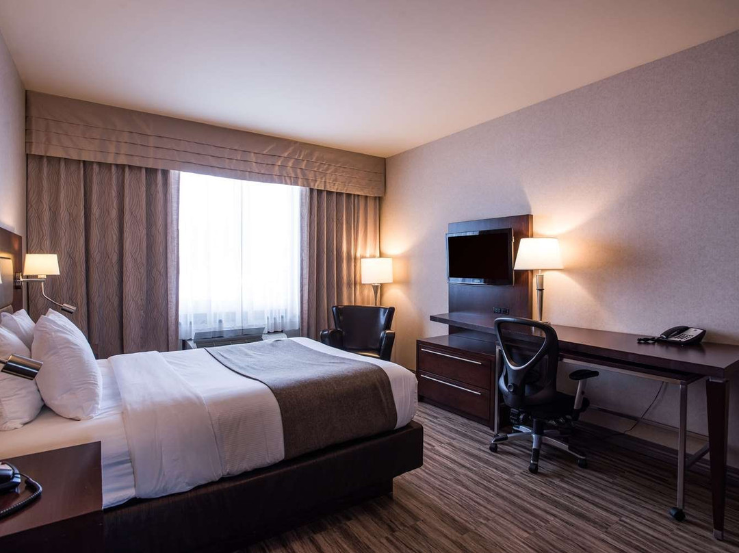 Quality Inn & Suites主图