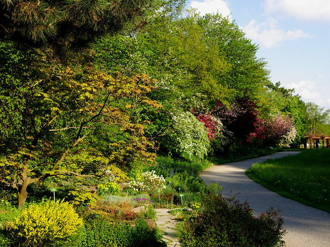 Botanischer Garten Augsburg景点图片