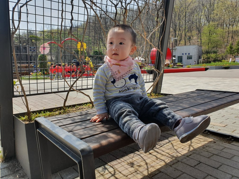 Bucheon Natural Ecological Park-富川市必去景点