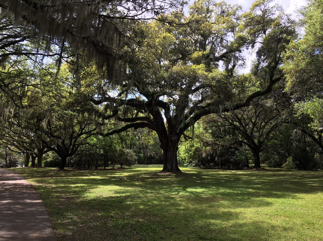 Charles Towne Landing State Historic Site景点图片