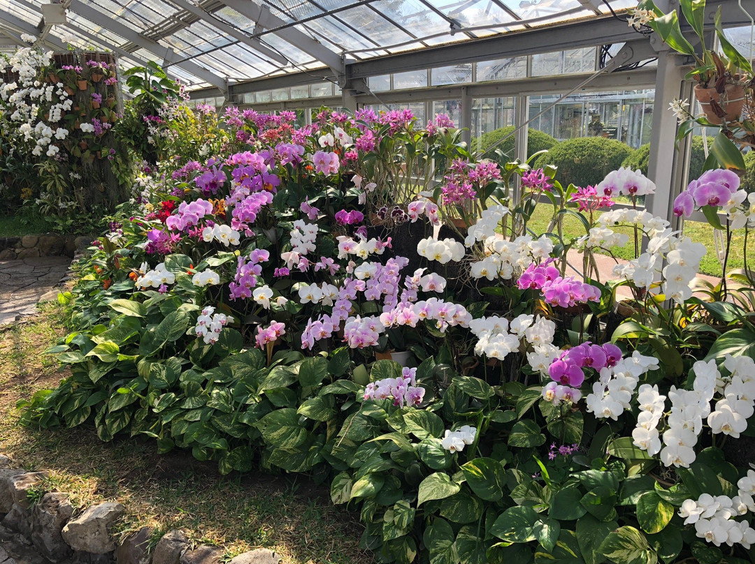加西市旅游景点-Hyogo Prefectural Flower Center