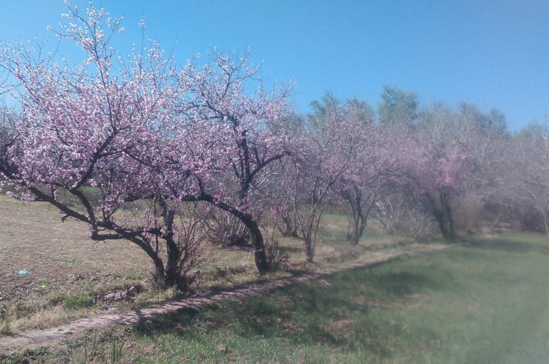 Kasbah Tasseurte主图