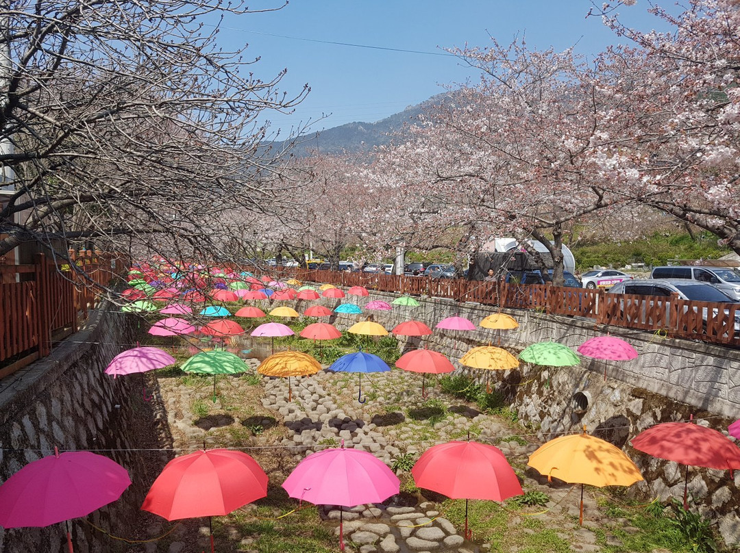 Yeojwacheon Stream-昌原市必去景点