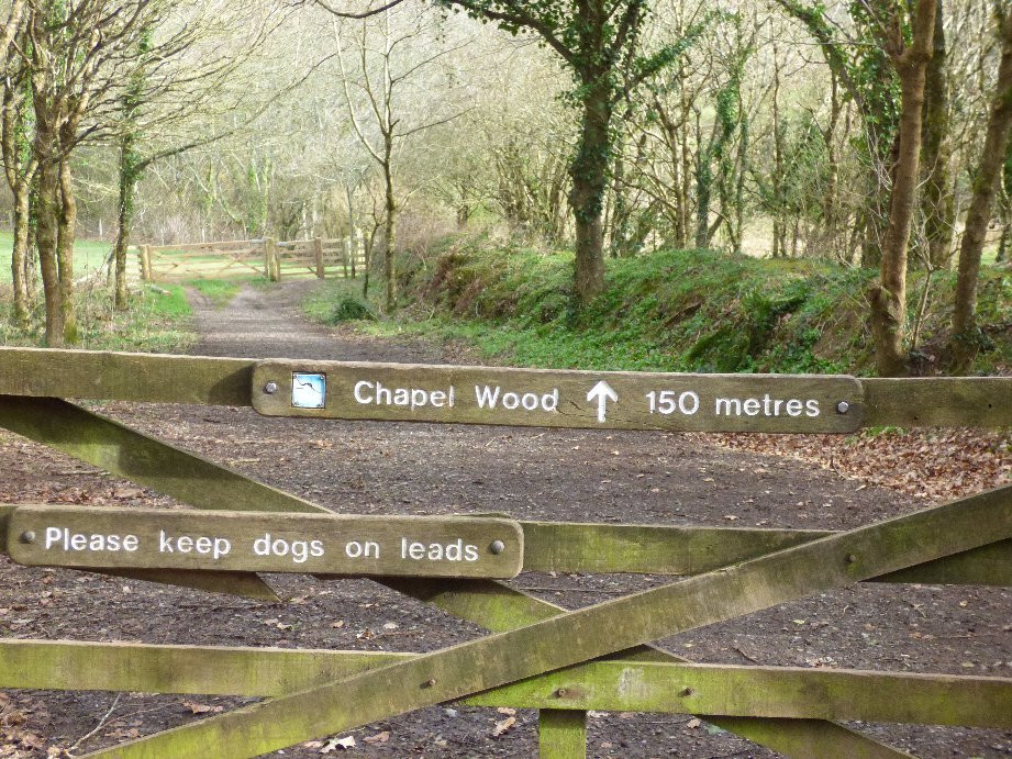 RSPB Chapel Wood Nature Reserve景点图片
