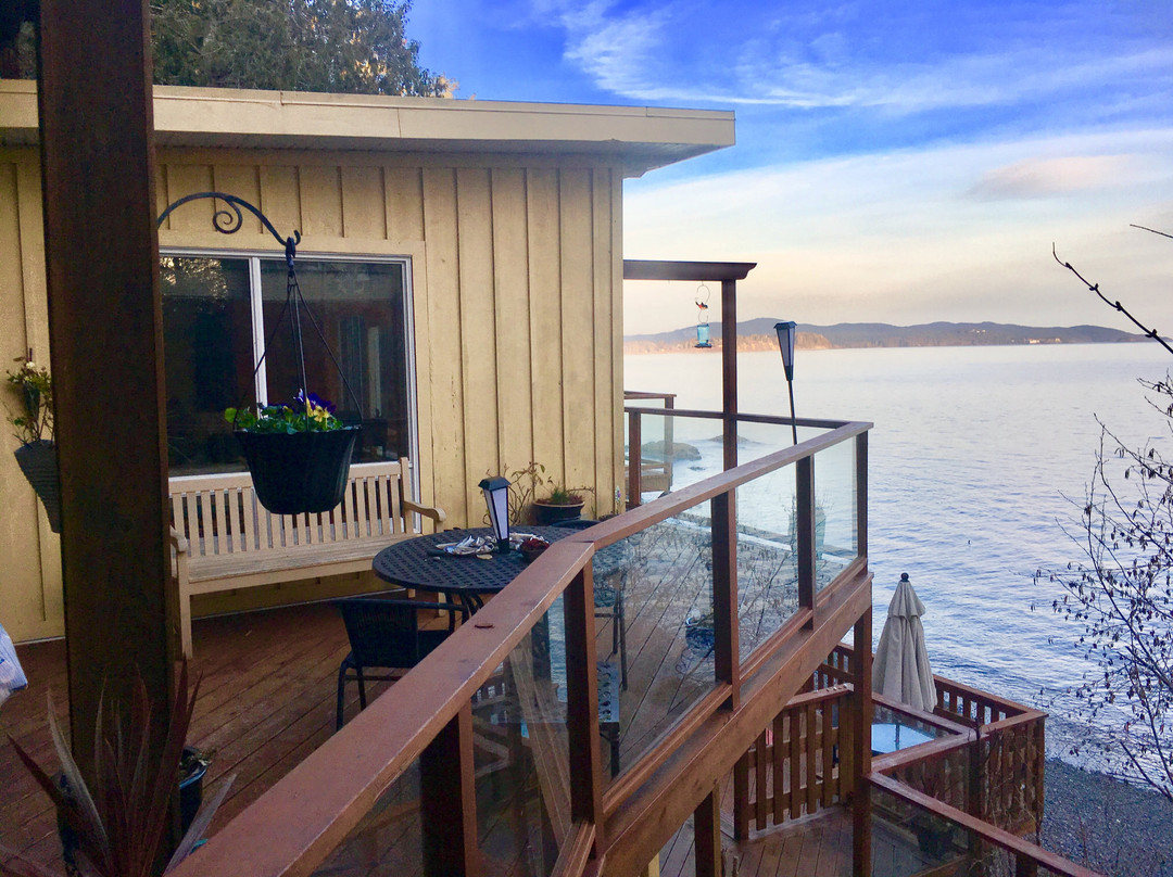 Eagle Cove Beachfront Guest Suites主图