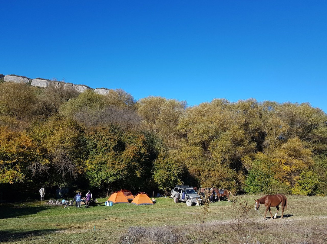 Horse Rides Eco Rest-Kashtanove必去景点