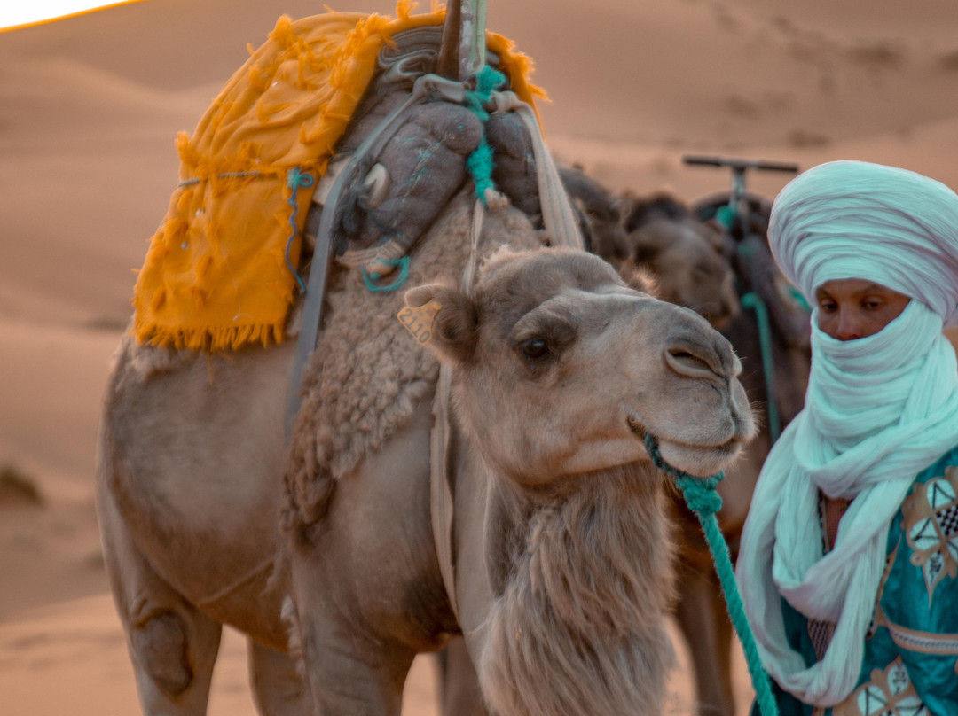 Morocco Culture Tours-马拉喀什必去景点