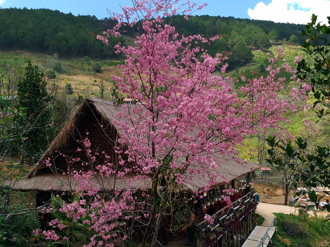 Hiep Thanh餐馆和美食-Dao Nguyen Quan