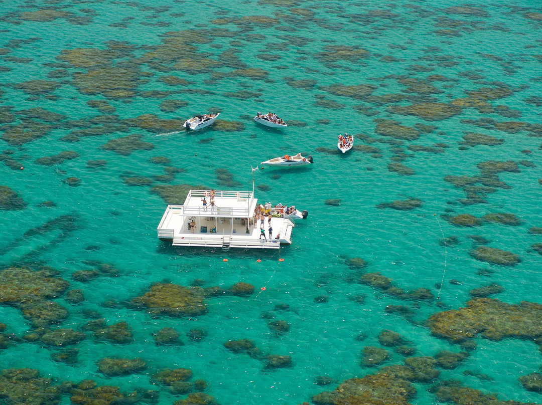 Ideal Turismo-Natal必去景点