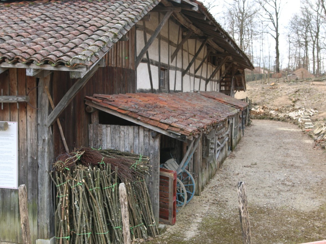 Ecomuseum Maison de Pays en Bresse-Saint-Etienne-du-Bois必去景点