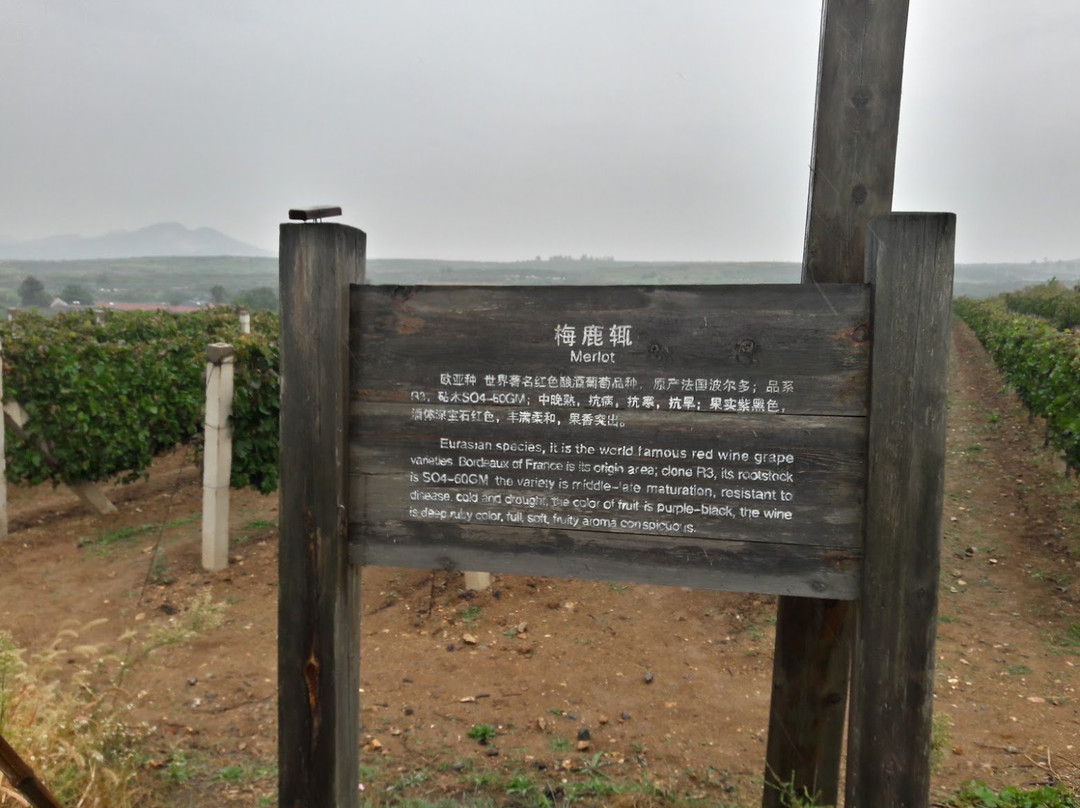 君顶酒庄会所主图