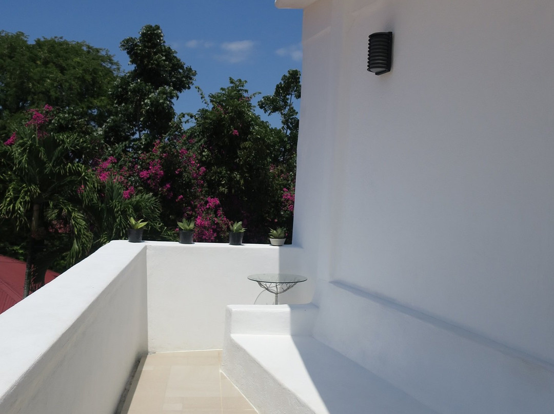 D´Gecko Hotel主图