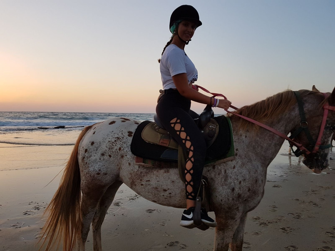 Cactus Ranch-Hadera必去景点