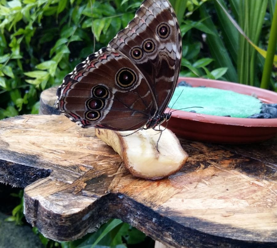 La Casa delle Farfalle-Ragusa CIty必去景点