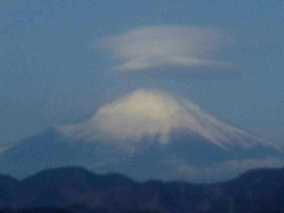 Nanohanadai-秦野市必去景点