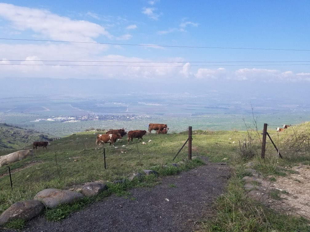 The Flying Turtle-Merom Golan必去景点