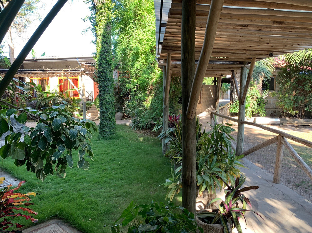 Wista's Inn Bed and Breakfast主图