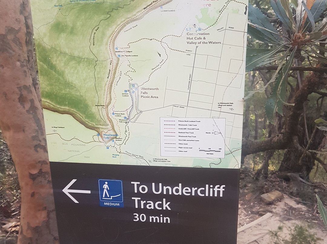 Overcliff-Undercliff Track景点图片