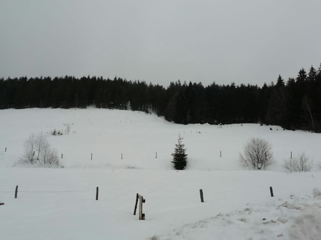 Station de Ski du Lac Blanc景点图片