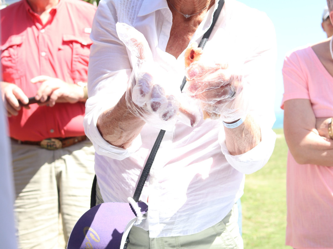 Taste of Jamaica Authentic Tour-奥乔里奥斯必去景点