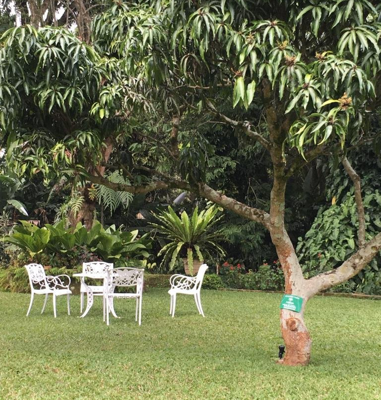 Micklefield Bungalow主图