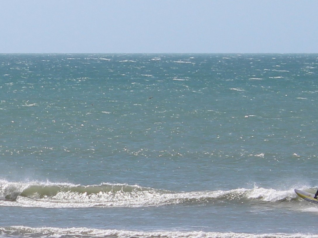 Bob Wind School-杰里科科拉必去景点